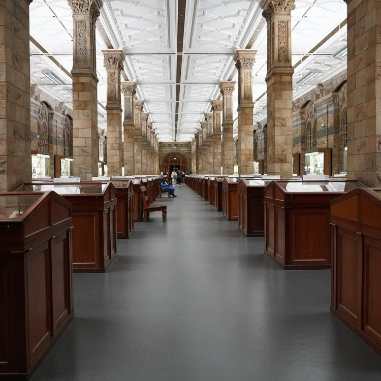 L'absorption acoustique dans les grands espaces